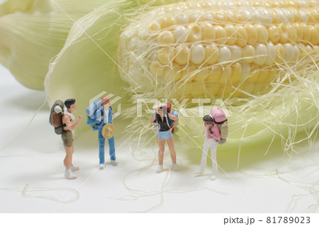 a mini traveler walking with the corn a mini traveler walking with the corn 81789023