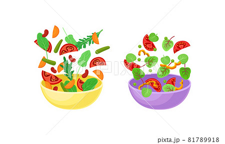 Vegetarian Salad with Dropping in Bowl Ingredient Mix Vector Set Vegetarian Salad with Dropping in Bowl Ingredient Mix Vector Set 81789918