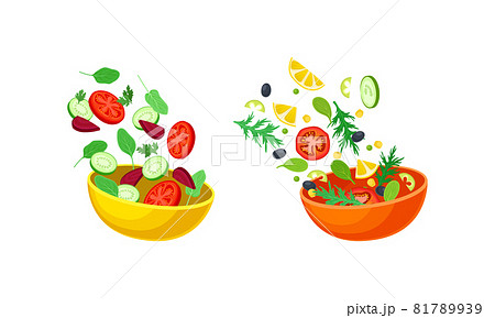 Vegetarian Salad with Dropping in Bowl Ingredient Mix Vector Set Vegetarian Salad with Dropping in Bowl Ingredient Mix Vector Set 81789939