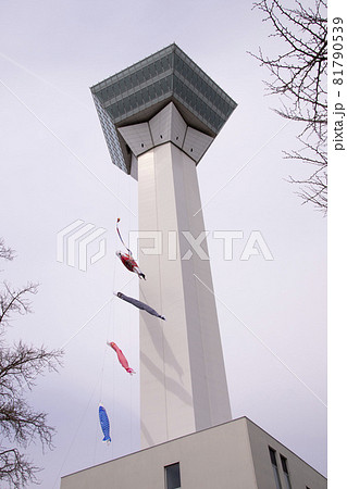 【縦アングル】函館市五稜郭タワーと鯉のぼり 81790539