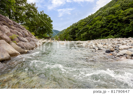 夏の湯檜曾川 81790647
