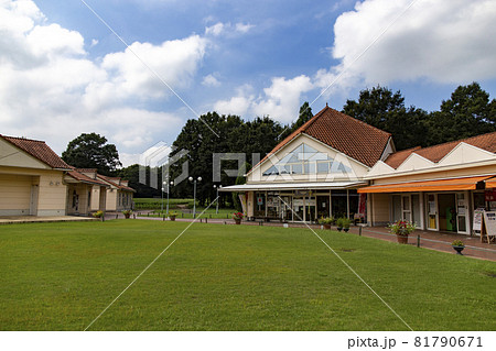 とちぎわんぱく公園内にある「はなはなのまち」 とちぎわんぱく公園内にある「はなはなのまち」 81790671