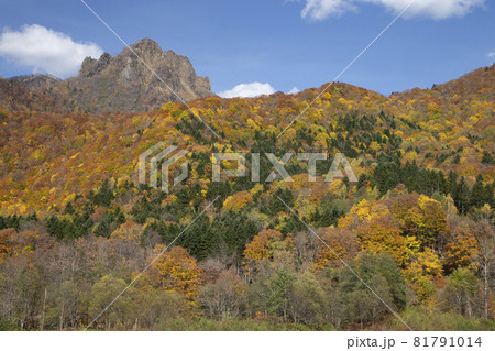 定山渓の紅葉 定山渓の紅葉 81791014