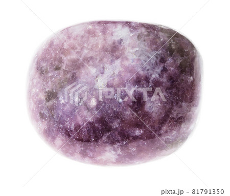 polished Lepidolite mica stone on white 81791350