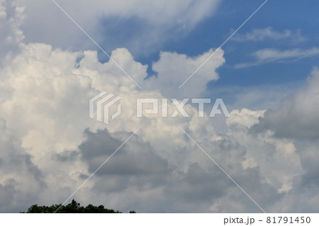 夏の雲 イメージ 夏の雲 イメージ 81791450