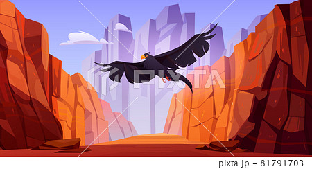 Crow fly in canyon with red mountains Crow fly in canyon with red mountains 81791703