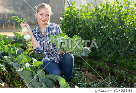 Female holding harvest of cabbage Female holding harvest of cabbage 81792142