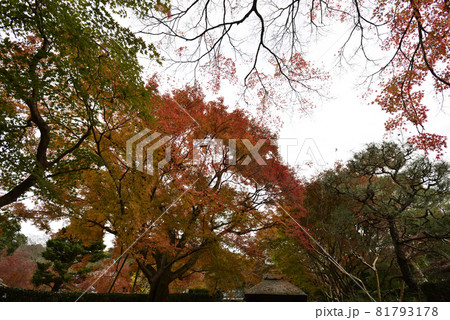 安楽寺　山門 81793178