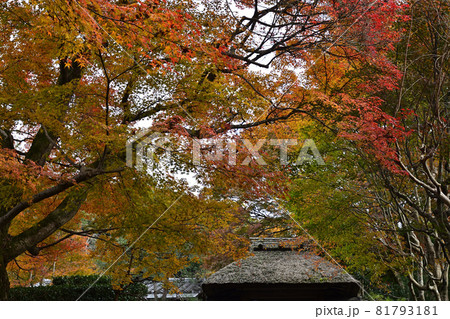 安楽寺　山門 81793181