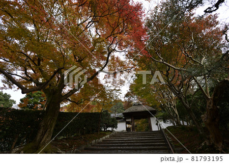 安楽寺　山門 81793195