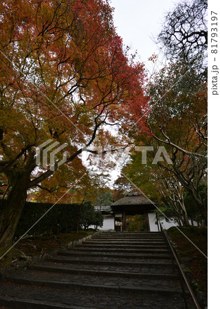 安楽寺 山門 安楽寺 山門 81793197
