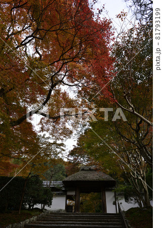 安楽寺　山門 81793199