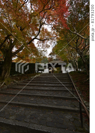 安楽寺　山門 81793200