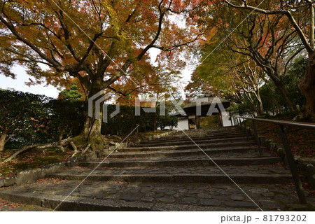安楽寺 山門 安楽寺 山門 81793202