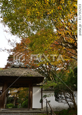 安楽寺　山門 81793203