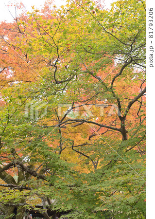 安楽寺　山門 81793206