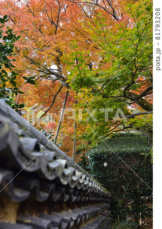 安楽寺 山門 安楽寺 山門 81793208
