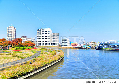 汐入公園周辺を望む(東京都荒川区)【2020.11】 81793228