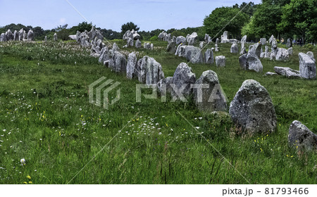 Alignements de Carnac - Carnac stones in Carnac, France Alignements de Carnac - Carnac stones in Carnac, France 81793466