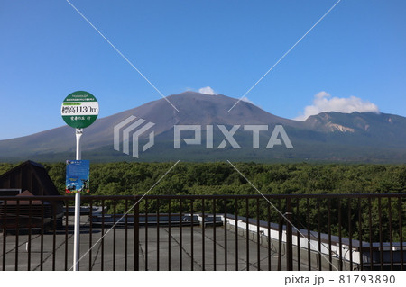 北軽井沢高原の中心で愛を叫びながら浅間山を望む 81793890