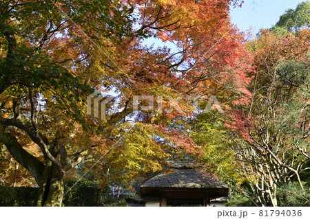 安楽寺 山門 安楽寺 山門 81794036