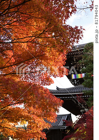 くろ谷 金戒光明寺 山門 くろ谷 金戒光明寺 山門 81794043