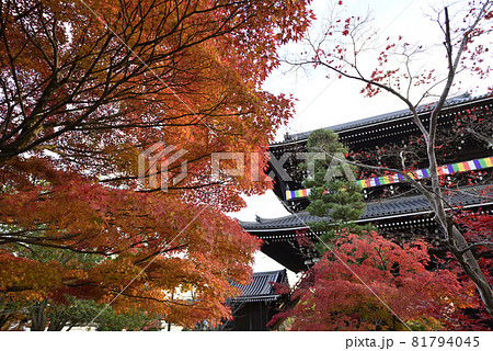くろ谷　金戒光明寺　山門 81794045