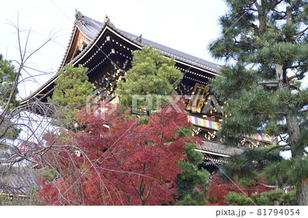 くろ谷 金戒光明寺 山門 くろ谷 金戒光明寺 山門 81794054