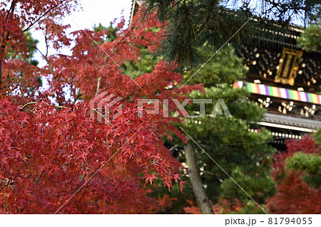 くろ谷　金戒光明寺　山門 81794055