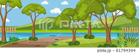 Forest along the river horizontal scene at day time with many trees Forest along the river horizontal scene at day time with many trees 81794304