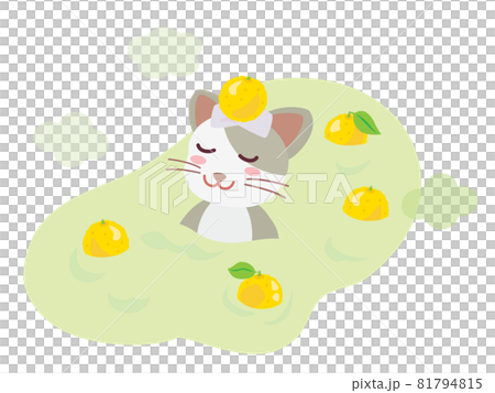 A cat entering the Yuzuyu at the winter solstice 81794815