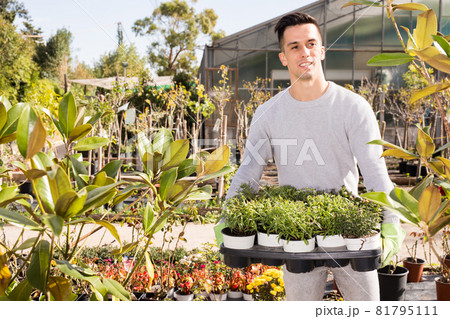 Florist working in greenhouse Florist working in greenhouse 81795111