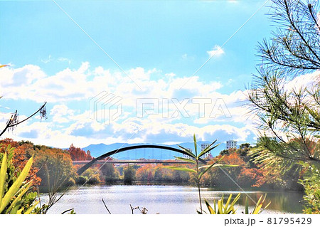 大阪府和泉市・光明池秋の風景 大阪府和泉市・光明池秋の風景 81795429