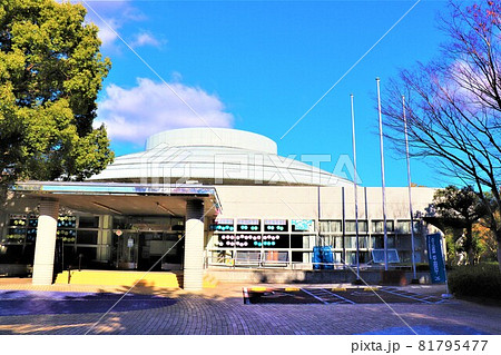 大阪府和泉市・光明池秋の風景 大阪府和泉市・光明池秋の風景 81795477