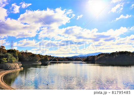 大阪府和泉市・光明池秋の風景 大阪府和泉市・光明池秋の風景 81795485