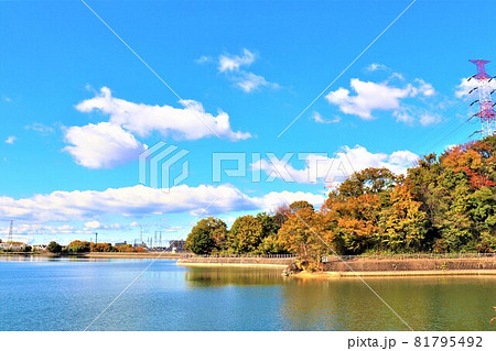大阪府和泉市・光明池秋の風景 大阪府和泉市・光明池秋の風景 81795492