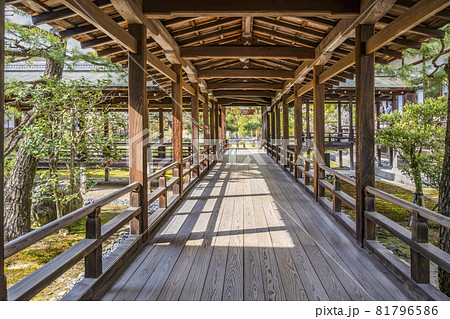 春の大覚寺（京都）村雨の廊下 81796586