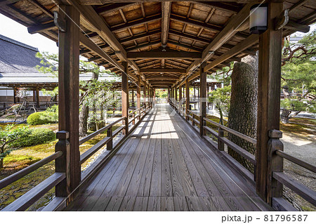 春の大覚寺（京都）村雨の廊下 81796587