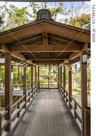 春の大覚寺(京都)村雨の廊下 春の大覚寺(京都)村雨の廊下 81796591