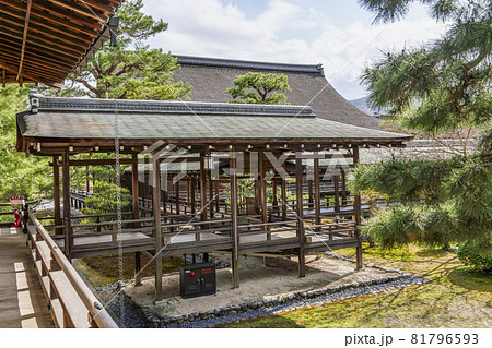 春の大覚寺(京都)村雨の廊下 春の大覚寺(京都)村雨の廊下 81796593