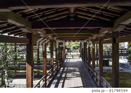 春の大覚寺(京都)村雨の廊下 春の大覚寺(京都)村雨の廊下 81796594