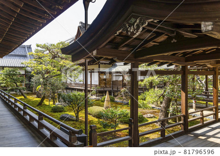 春の大覚寺(京都)村雨の廊下 春の大覚寺(京都)村雨の廊下 81796596