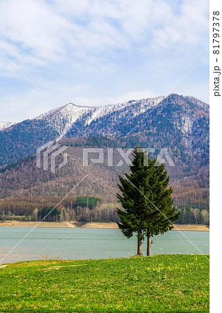 かなやま湖 かなやま湖 81797378