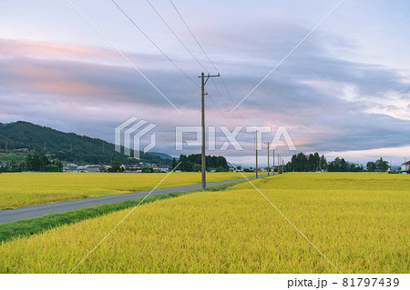 夜明けを迎えた安曇野 81797439