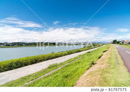 多摩川のサイクリングロード　散歩　夏の青空　東京都調布市 81797575