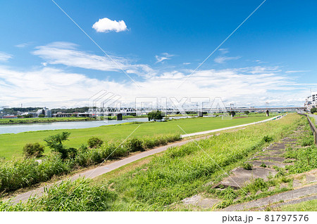 多摩川のサイクリングロードからの景色 散歩 夏の青空 東京都調布市 多摩川のサイクリングロードからの景色 散歩 夏の青空 東京都調布市 81797576