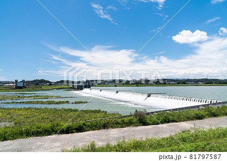 多摩川　二ヶ領上河原堰の眺め　散歩　夏の青空　東京都調布市 81797587