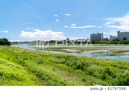 多摩川の河川敷　散歩　夏の青空と雲　東京都調布市 81797598