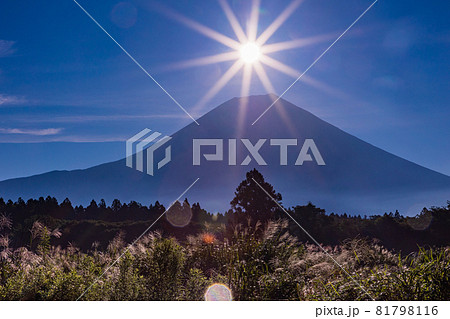 (静岡県)朝霧高原のチカラシバと、富士山腹のダイヤモンド (静岡県)朝霧高原のチカラシバと、富士山腹のダイヤモンド 81798116