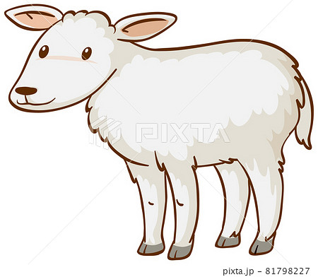 Baby sheep animal cartoon on white background Baby sheep animal cartoon on white background 81798227